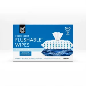 DUDE WIPES XL On-the-Go Flushable Wipes, Mint Chill, 4 ct., 120 wipes