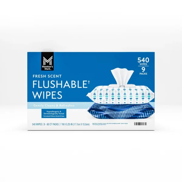 DUDE WIPES XL On-the-Go Flushable Wipes, Mint Chill, 4 ct., 120 wipes